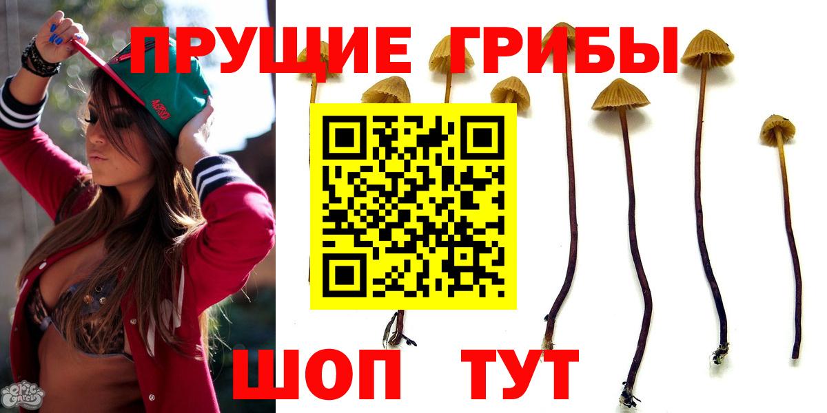Псилоцибиновые грибы прущие грибы  Галлюциногенные грибы мухоморы  Вход с VPN  Славгород 