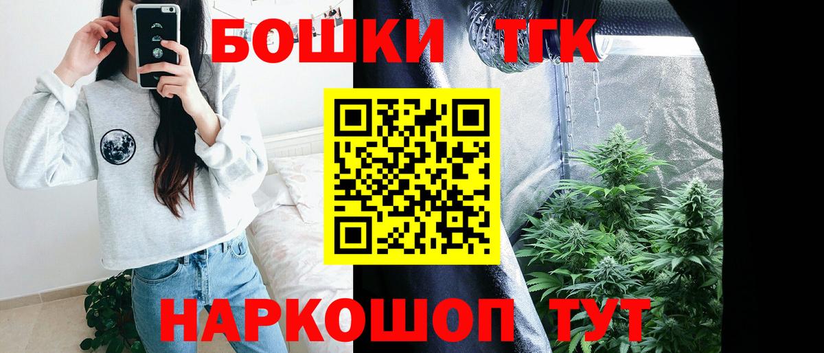Канабис сатива Славгород